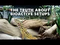 All About Bioactive Reptile Tanks - Lighting Clean Up Crew More