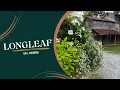 Explore Longleaf Where The Past Meets The Present