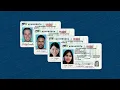 Minnesota Driver s License for All