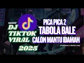 Download Lagu PICA PICA 2 - TABOLA BALE - CALON MANTU IDAMANDJ Tiktok VIRAL Mashup 2025 REMIX