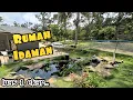 Download Lagu ✅ Kebun Idaman. Dusun Durian, Burung Eksotik, Kolam Ikan \u0026 Madu Lebah di Satu Tempat