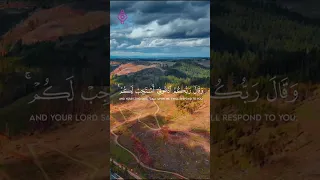 بلال دربالي سورة غافر آية 60 Invocadme Y Yo Os Responderé Bilal Derbali Sura Gafir 60 