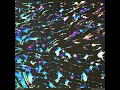 Tetris (Edit) - Seb Wildblood