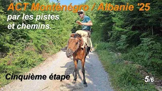 2025 ACT MNE ALB Day 5  2025 ACT MNE ALB Day 5