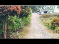 Download Lagu Di Puncak Bukit Hijau - Jayanti Mandasari