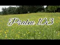 Psalm 103 - NLT visual