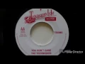 The Techniques - You Don't Care