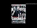 Carcass - Unfit for Human Consumption