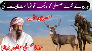 molana ali sher brohi new bayan 2022 shane mohammad sindhi bayan 2022 allah akbar