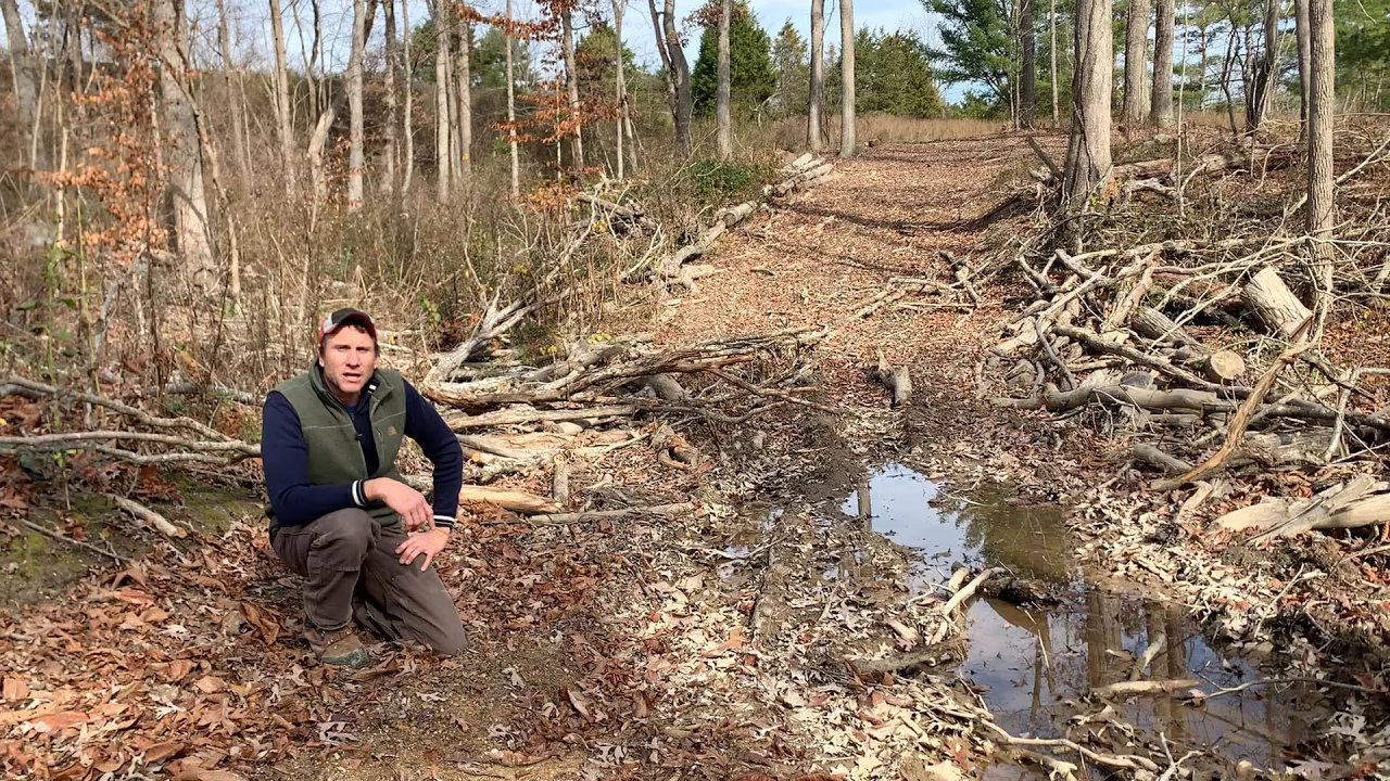 Fifteen Minutes in the Forest: Managing a Hardwood Forest Part 1