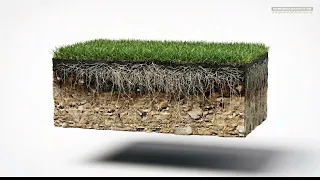 How to Plant Grass Seed