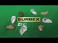 Abbott Surbex Zinc TVC Mandarin HD