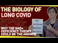The Biology of Long Covid Why the NAD Deficiency Theory Could Be The Answer