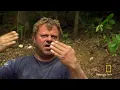 Off To School | Building Wild