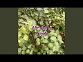 Download Lagu Seribu Belati