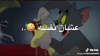 حسام حبيب تروح فين من الي بيحبك دندنها