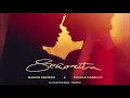 Download Lagu Shawn Mendes, Camila Cabello - Señorita (DJ Maydonoz - Remix)