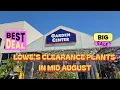 Clearance Plants At Lowe s Garden Center Great Deals In August