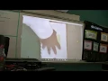 AVID Interactive Notebook in Math