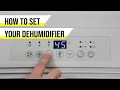 How to Set Your Dehumidifier Sylvane