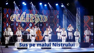 Download Ansamblul etnofolcloric Plăieșii - Sus pe malul Nistrului MP3