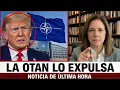 Lagu Líderes mundiales FURIOSOS prohíben a Trump en la MAYOR ALIANZA: “La OTAN está rota”