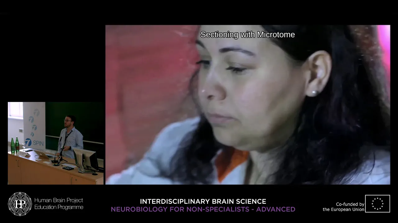 Lecture 7: Timo Dickscheid - The human brain atlas as a part of the HBP Neuroinformatics Platform