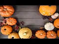 The Peddler Show is in San Antonio Sept 27-29 SA Live KSAT12