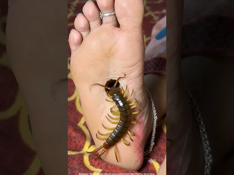दुर्गा माँ और काली लड़की || माता रानी और भक्त || बहू ने सास के साथ क्या किया ||