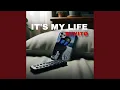 Download Lagu It's My Life