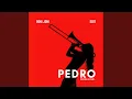Download Lagu Pedro (Edit)