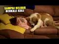 Download Lagu Tak Tahan Jomblo Dan Kesepian,, BULE Cantik \
