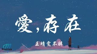 wang jing wen bu pang ai cun zai wei qi qi lyrics pinyin english translation