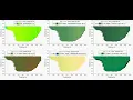 Pearl Lake Algae Simulation 2DV