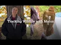 How We re Tracking Birds and Other Wildlife with Motus