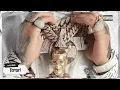 Anuel AA, Lil Wayne - Ferrari (Audio Oficial)