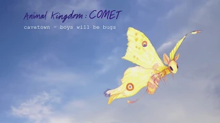 Download Boys Will Be Bugs by Cavetown (Official Audio) | Animal Kingdom MP3