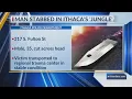 One injured after stabbing in Ithaca s Jungle