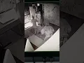 Download Lagu RED ROOM LEAKED VIDEO . #darkweb #creepypasta
