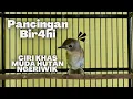 SUARA KHAS NGERIWIK SRDC MUDA HUTAN PANCINGAN BIR4HI SRDC BAHAN KURANG EMOSI!!