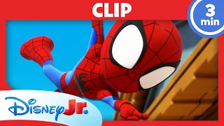 🕸️ Mr. Fantastic hat Schluckauf | Spidey und seine Super-Freunde