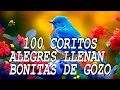 Download Lagu Coros Viejitos Pero Bonitos - Coros Pentecostales - Mas De 100 Coros Avivamiento Pentecostal