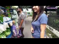 Download Lagu Penjual Sayur keliling pak imam