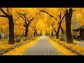 Download Lagu 4K Beautiful Relaxing Music 🍁 Enchanting Autumn Nature Scenes with Forest Sounds \u0026 Peaceful Music