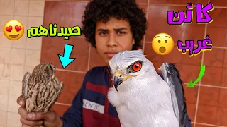 صنعت مصيدة لصيد الصقور ولكنها اصطادت كائن غريب    مغامرة صيد الصقور الشرياص كاملة   دندنها