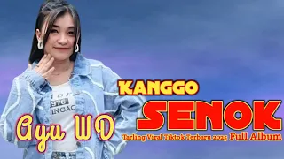 kanggo senok tri buana voc ayu wd yang semok ks putra show sliyeg indramayu 24 november 2025