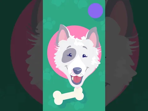 O cão camarada é o mais esperto da quebrada 🐶 #mundobita #infantil #clipemusical
