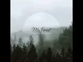 Birds & Stream - Peaceful Plausible