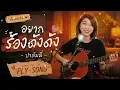 อยากร้องดังดัง ปาล์มมี่ (COVER BY PLY-SONG)