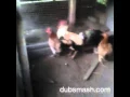 Download Lagu Ayam berkokok di pagi hari remix